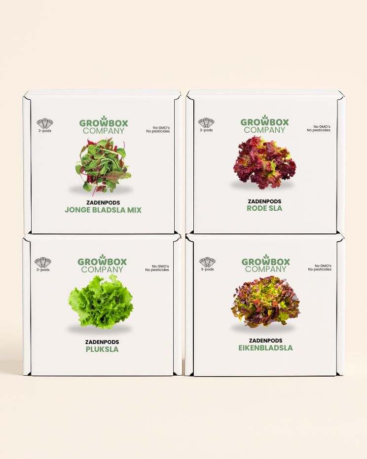 Salade zadenpakket - 12 pack