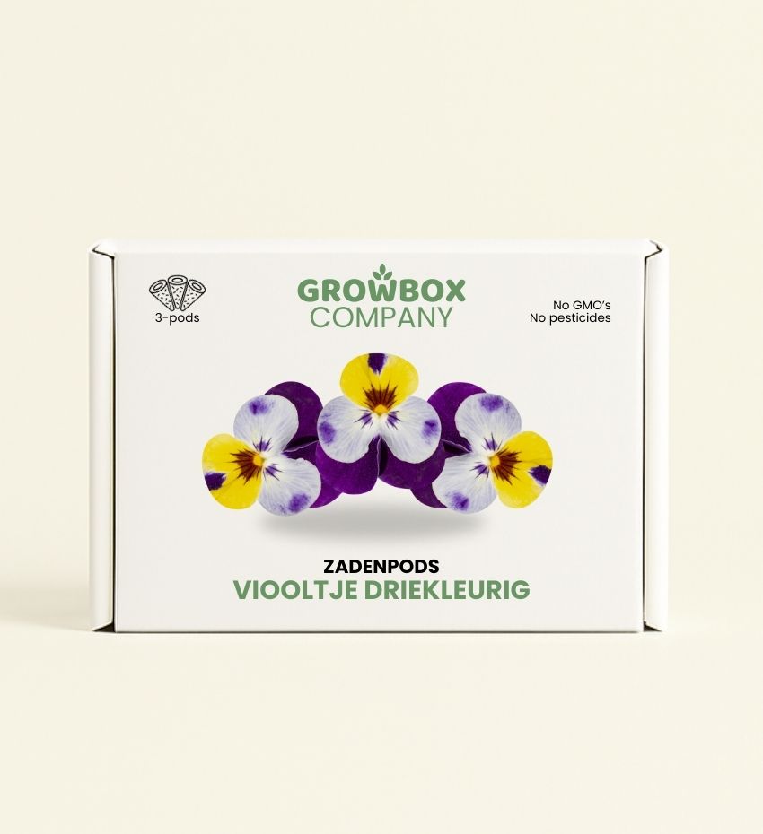 Viooltje driekleurig