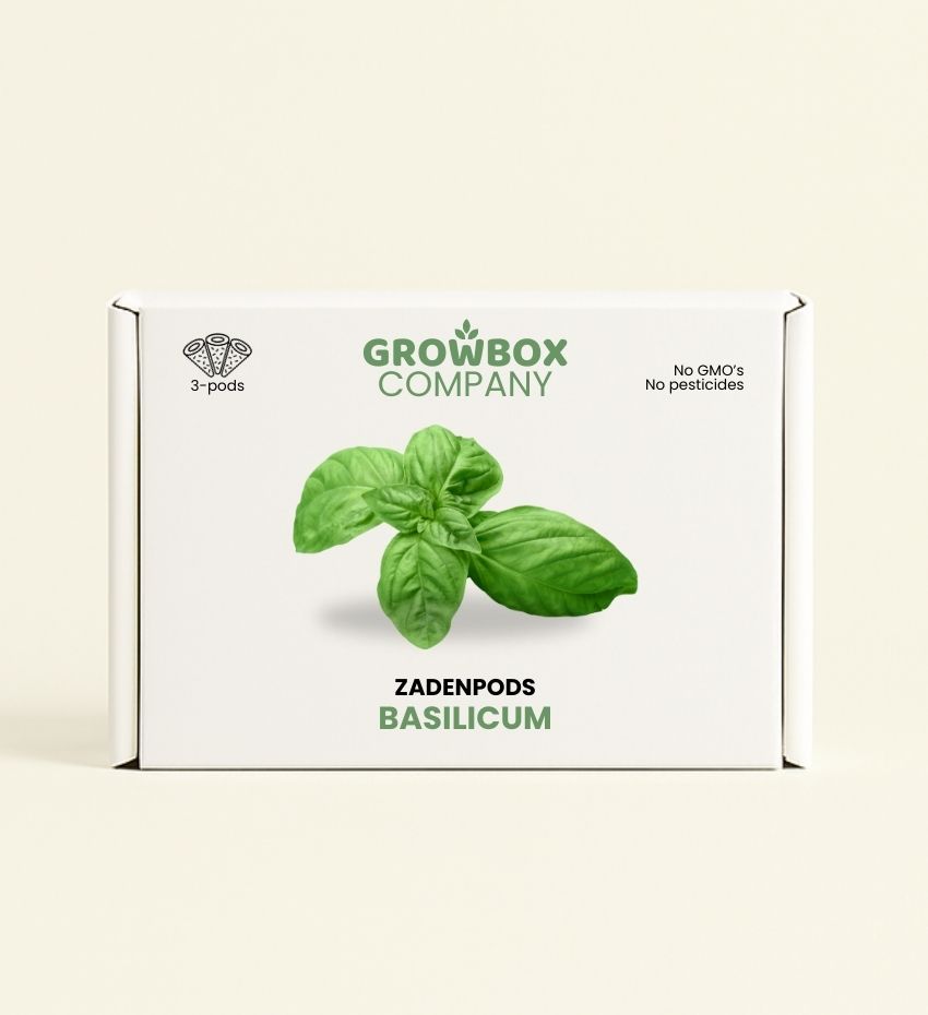 Basilicum