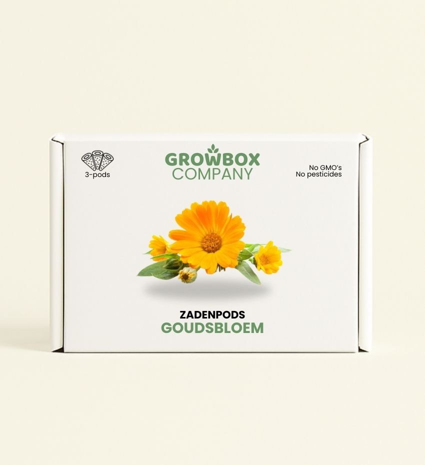 Goudsbloem
