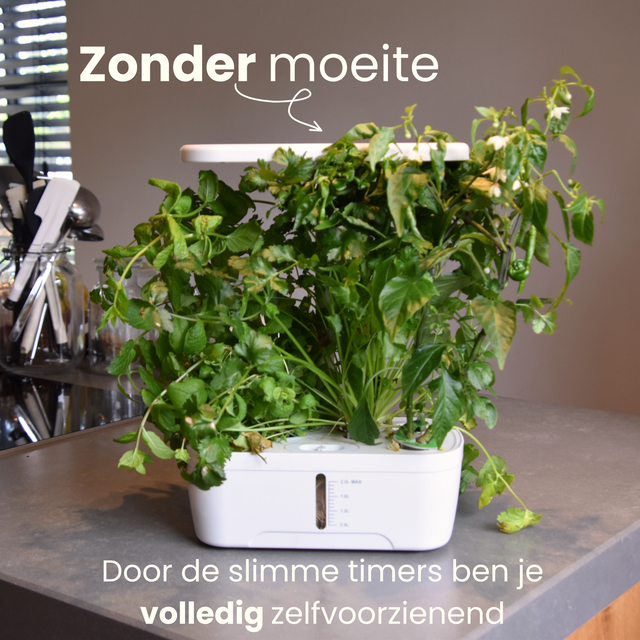 Growbox 6-Pods Middel (starterspakket)