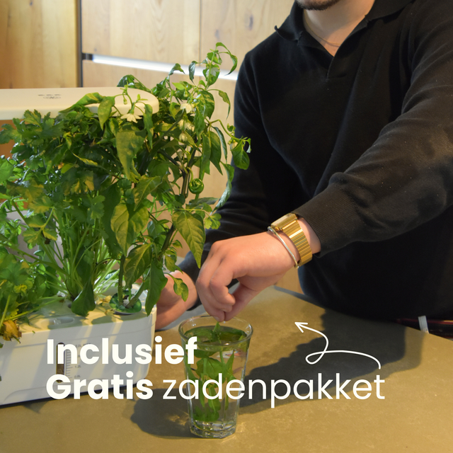Growbox 6-Pods Middel (starterspakket)