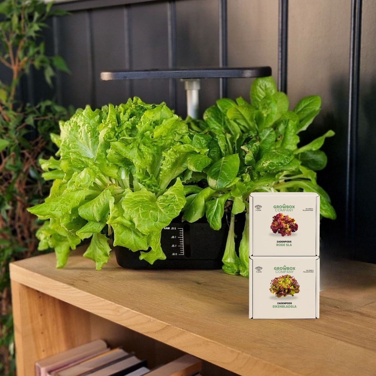 Growbox 6-Pods Middel (meest gekozen)