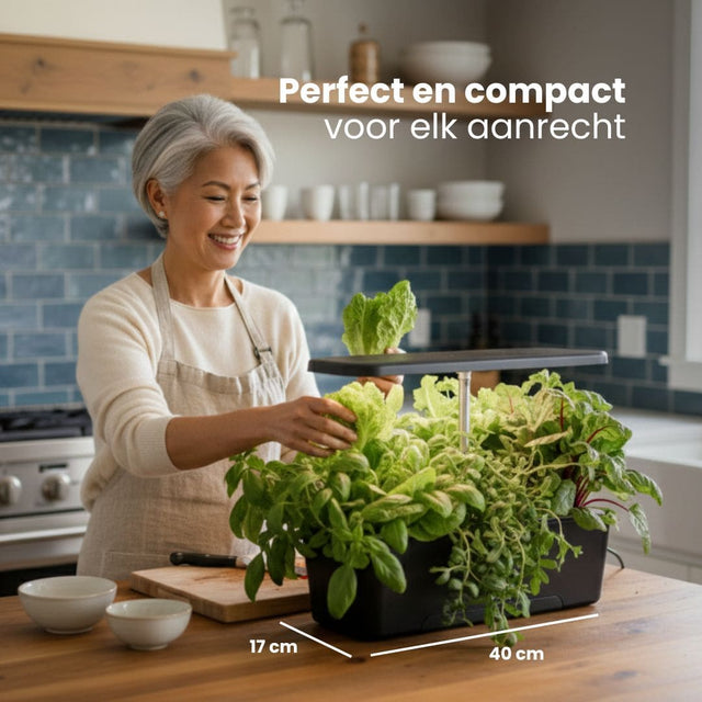Growbox 12-Pods Groot