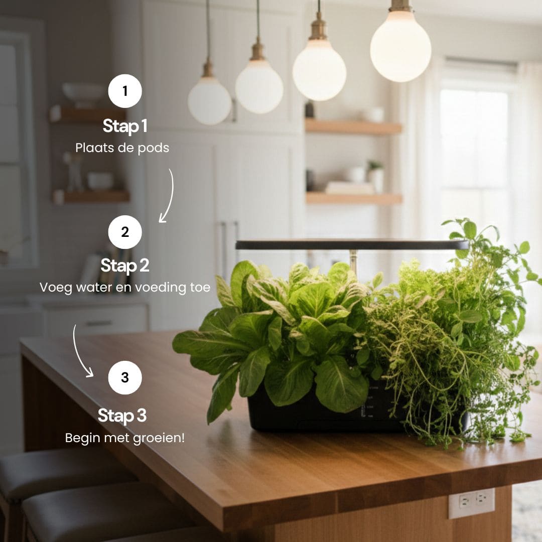 Growbox 6-Pods Middel