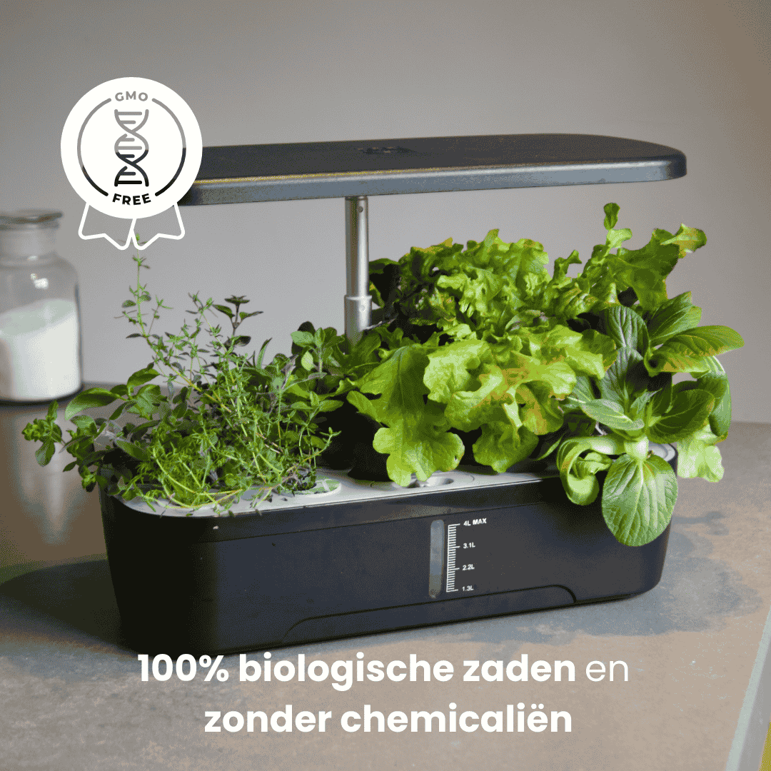 Growboxen