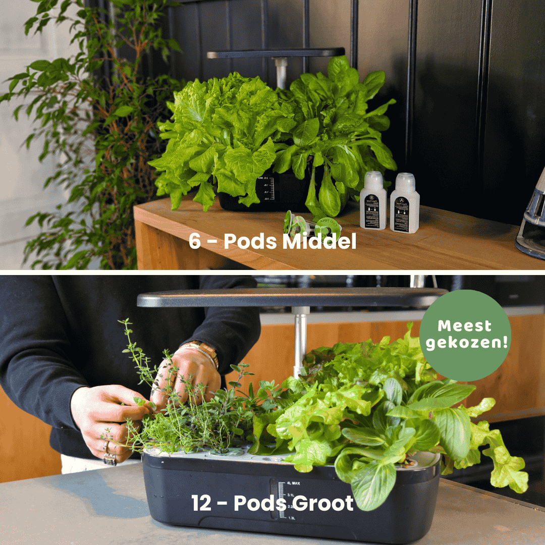 Growboxen