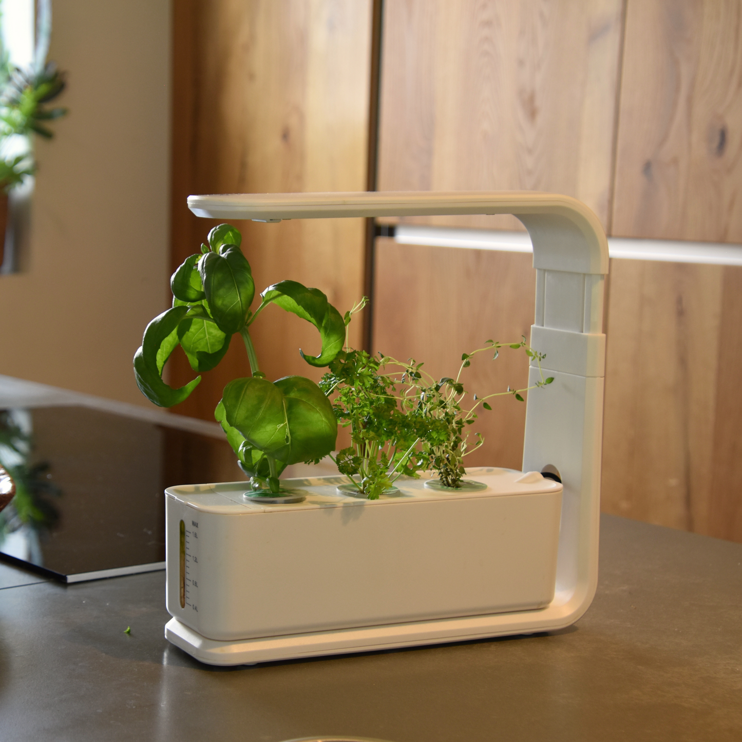 Growbox 3-Pods Klein