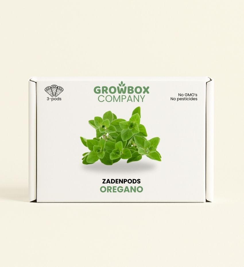 Oregano
