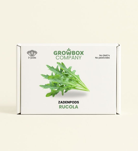 Rucola