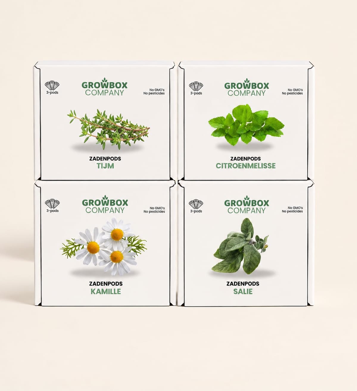 Thee zadenpakket - 12 pack