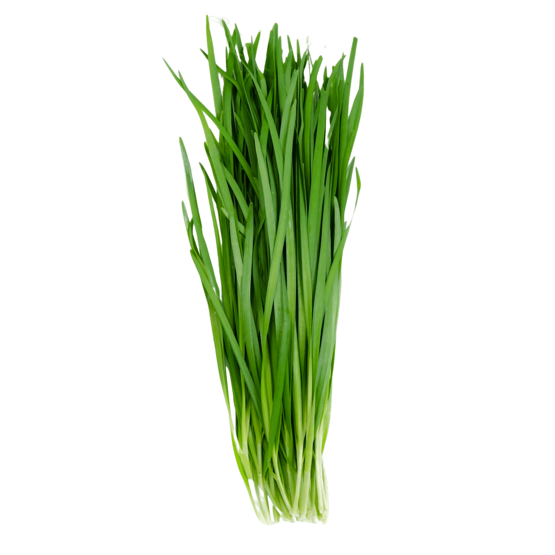Bieslook