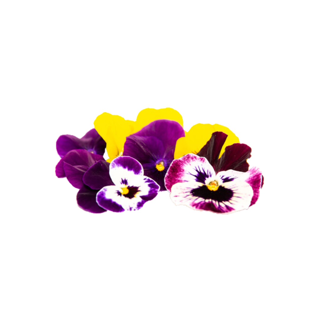 Eetbare Bloemen