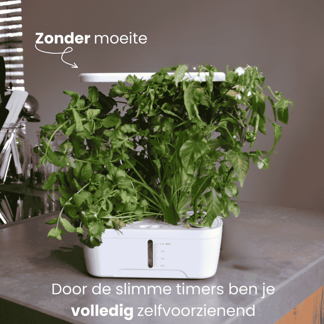 Growboxen