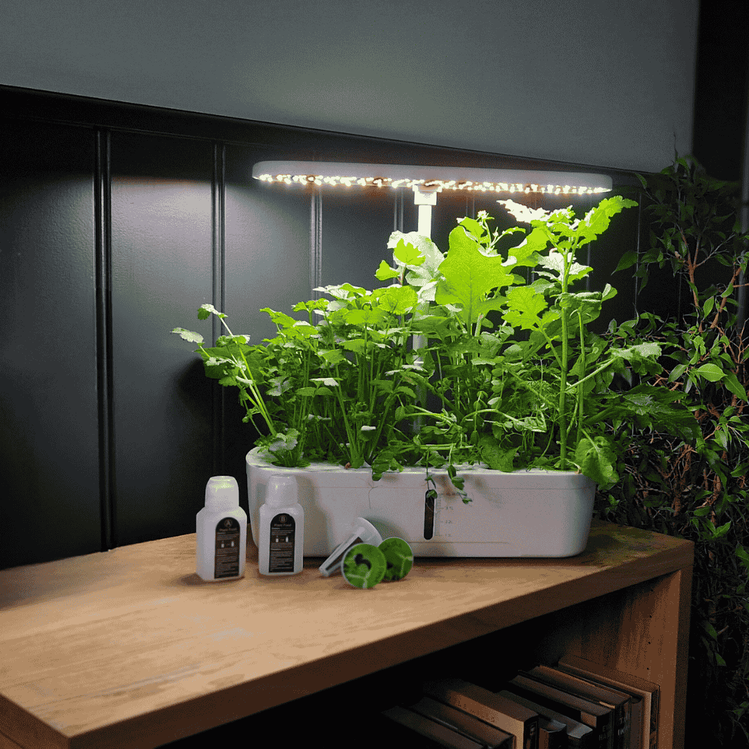 Growboxen
