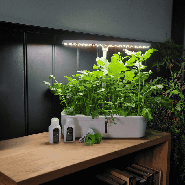 Growboxen