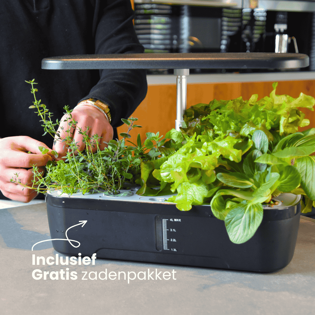 Growboxen