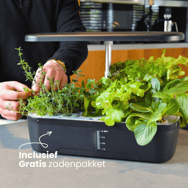 Growboxen