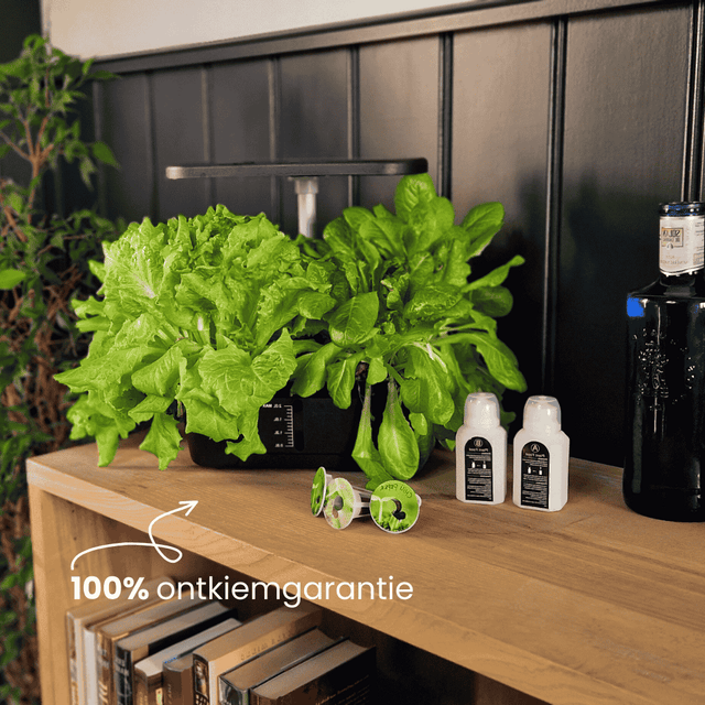 Growboxen