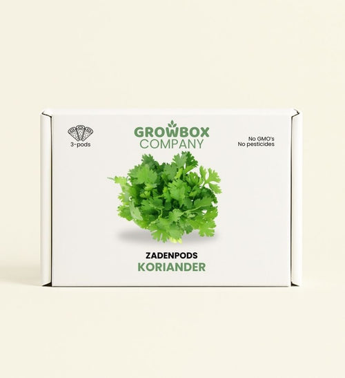 Koriander