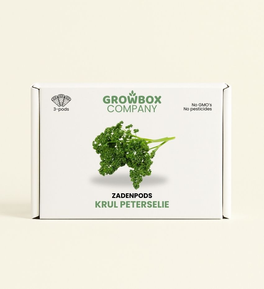 Krul Peterselie